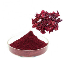 Manufacture supply High puity rose eggplant extract powder